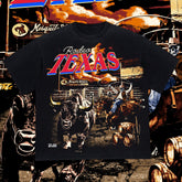 Mesquite Rodeo Texas