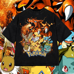 Pokemon ( Charizard )